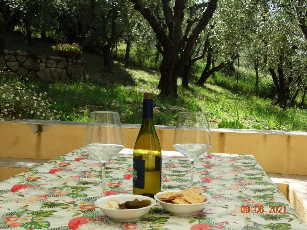Poggio House, Tranquillita E Comfort Nella Natura 瓦尔的圣卡西亚诺 外观 照片