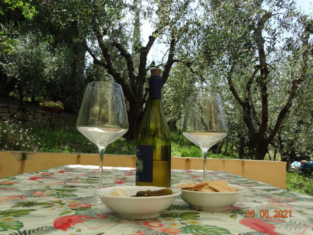 Poggio House, Tranquillita E Comfort Nella Natura 瓦尔的圣卡西亚诺 外观 照片