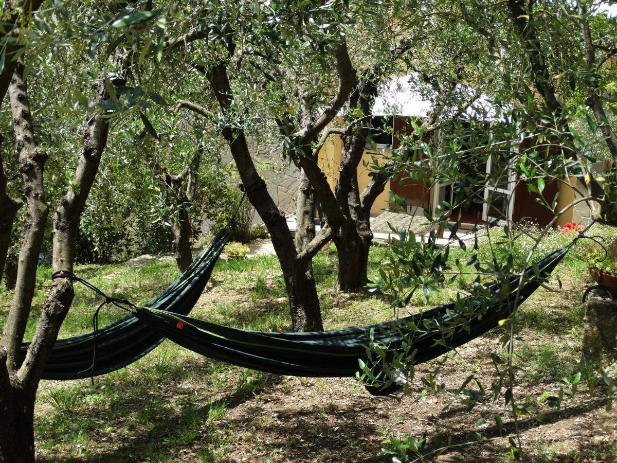 Poggio House, Tranquillita E Comfort Nella Natura 瓦尔的圣卡西亚诺 外观 照片