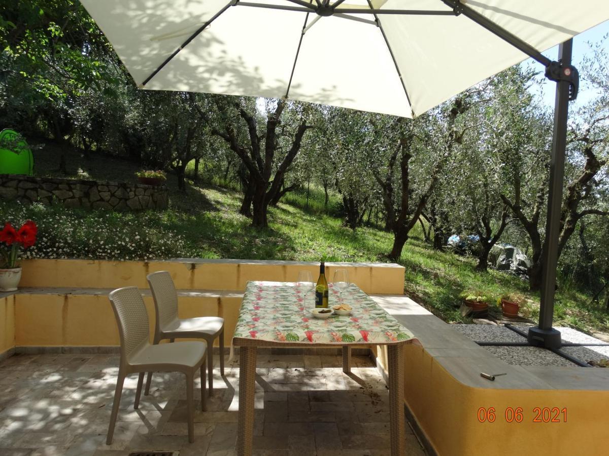 Poggio House, Tranquillita E Comfort Nella Natura 瓦尔的圣卡西亚诺 外观 照片