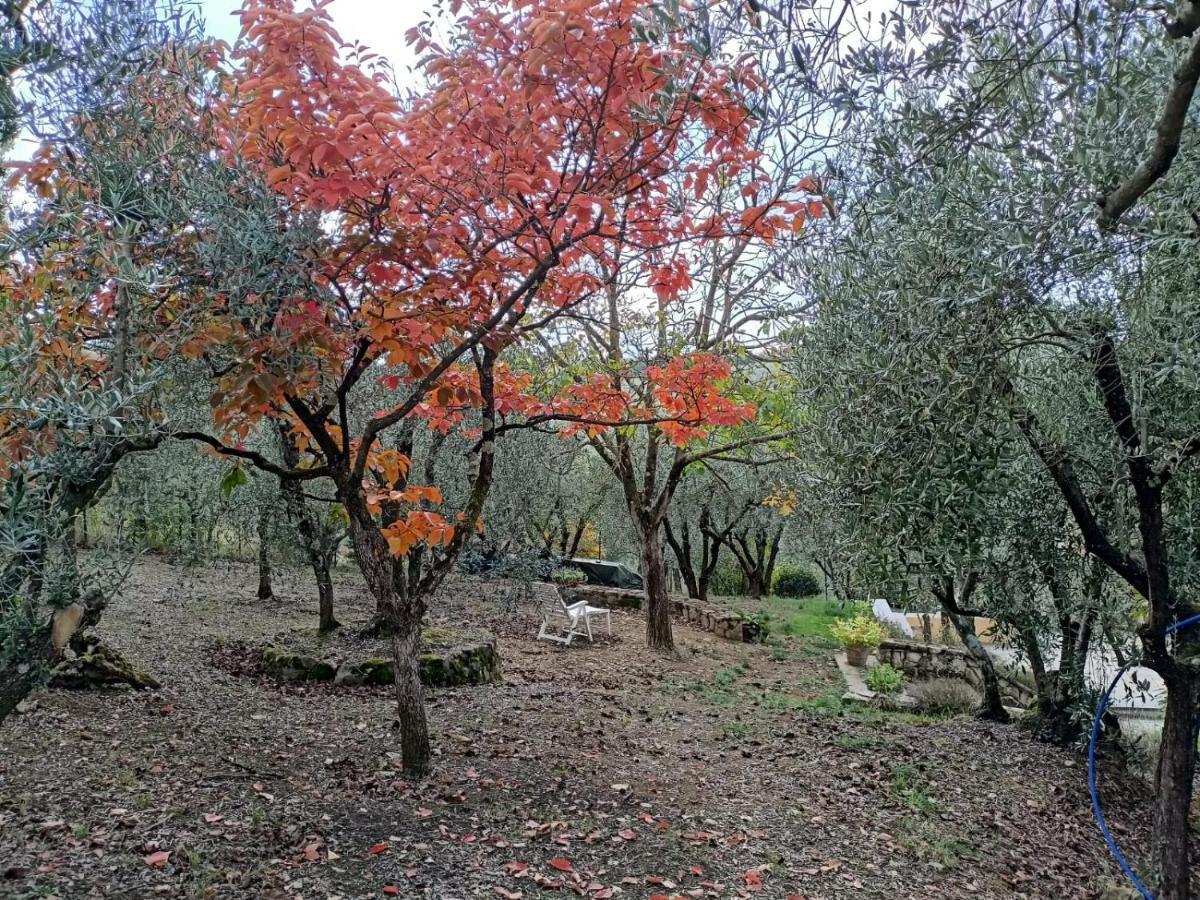 Poggio House, Tranquillita E Comfort Nella Natura 瓦尔的圣卡西亚诺 外观 照片